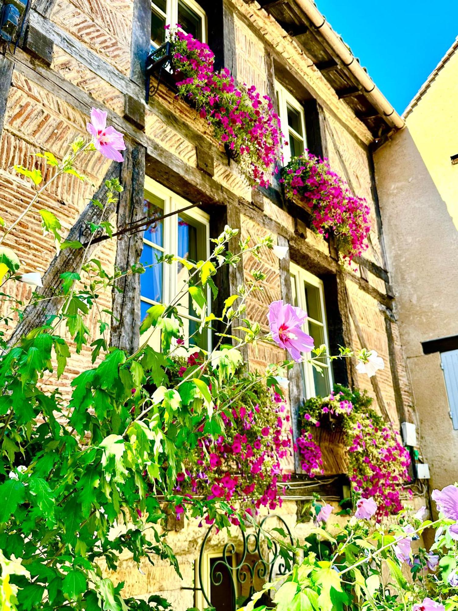 Bed and Breakfast Le Logis Plantagenet Бержерак Экстерьер фото