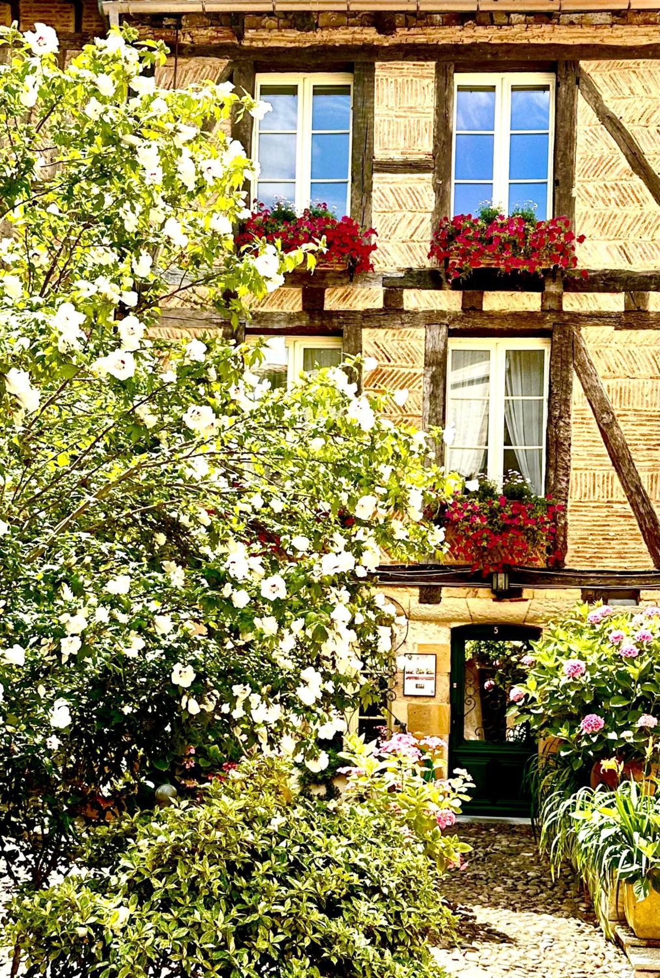 Bed and Breakfast Le Logis Plantagenet Бержерак Экстерьер фото